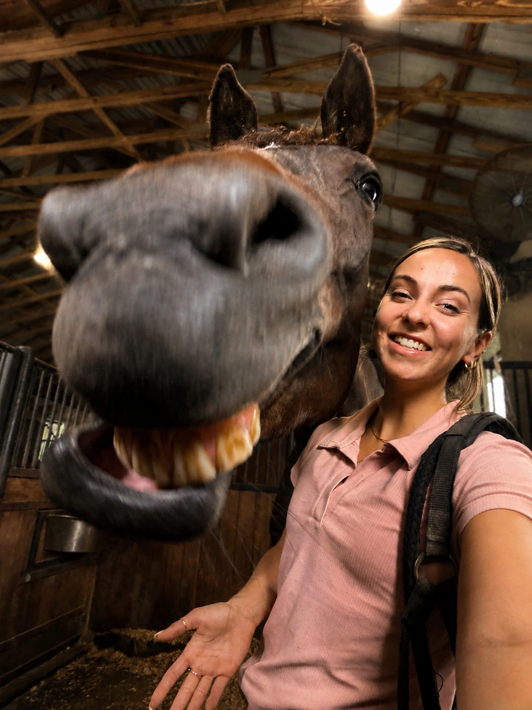 Horse and Dr. Sabrina sharing a moment