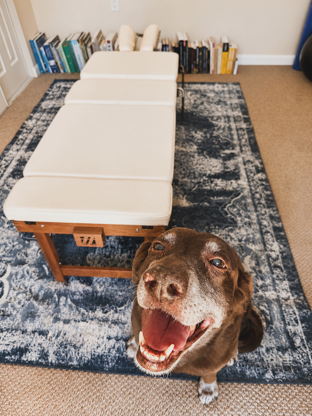 Therapeutic laser therapy setting